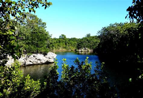 dagny johnson botanical state park